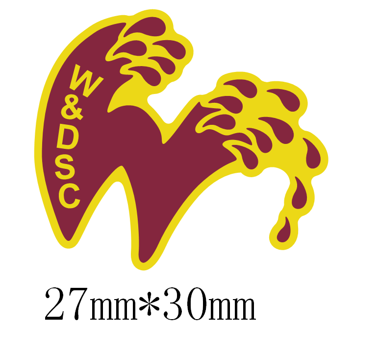 Wareham Swimming Club Shoe Charm