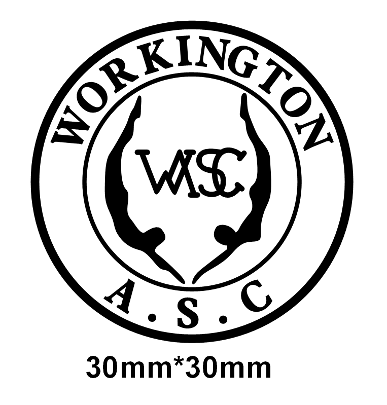 Porte-clés du club de natation de Workington