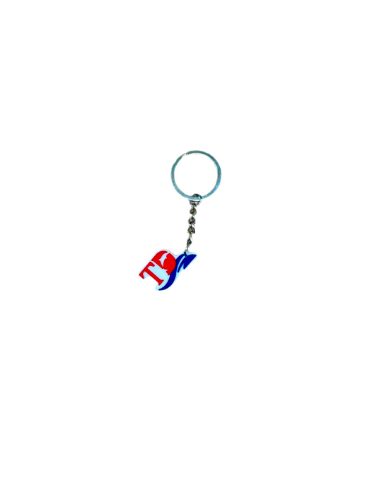 Torfaen Dolphins Swimming Club Keyring