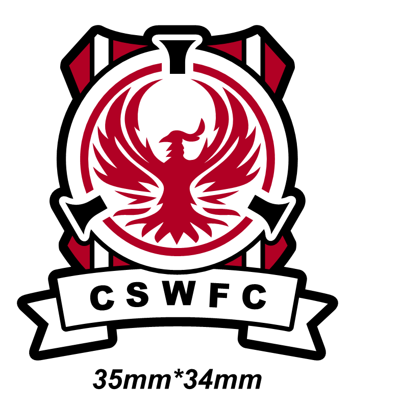Cheltenham Spa Women's FC Keyring