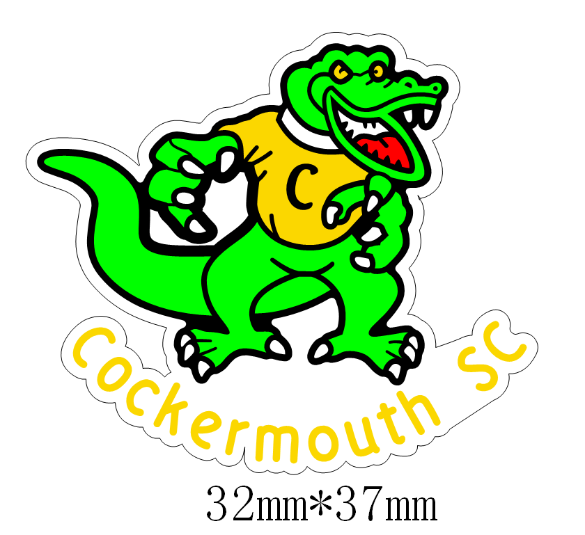 Cockermouth Swimming Club Keyring